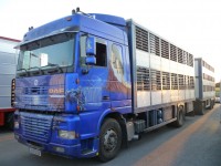 Photo camion remorque