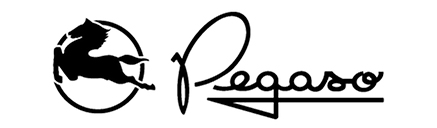 pegaso_logo_604.jpg