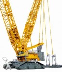 Grue sur chenilles