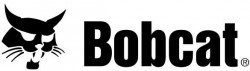 bobcat